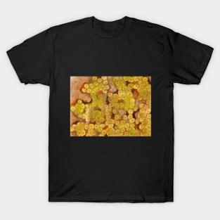 Fertility Dance T-Shirt